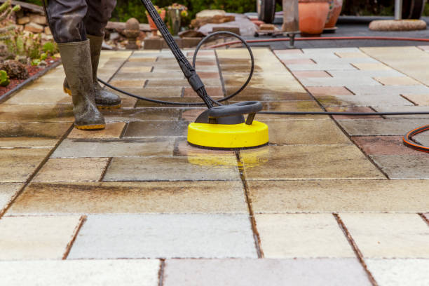 Best Pre-Holiday Cleaning  in Lake Mawk, OH